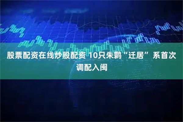 股票配资在线炒股配资 10只朱鹮“迁居” 系首次调配入闽