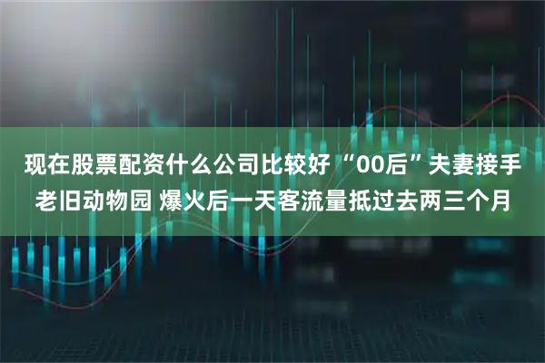 现在股票配资什么公司比较好 “00后”夫妻接手老旧动物园 爆火后一天客流量抵过去两三个月